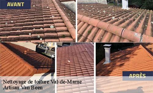 Nettoyage de toiture 94 Val-de-Marne  Artisan Van Been