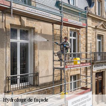 Hydrofuge de façade 94 Val-de-Marne Artisan Van Been