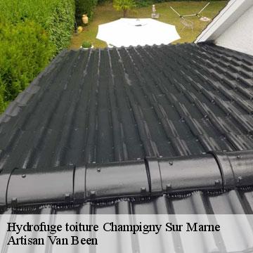 Hydrofuge toiture  champigny-sur-marne-94500 Artisan Van Been
