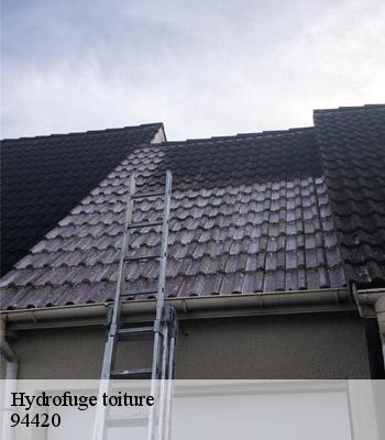 Hydrofuge toiture  le-plessis-trevise-94420 Artisan Van Been