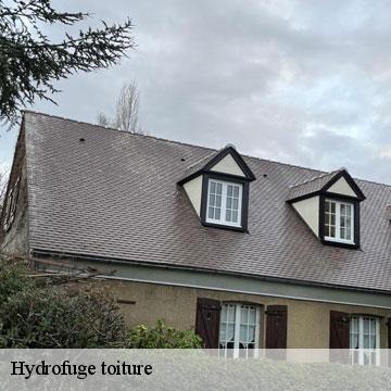 Hydrofuge toiture thiais-94320 Artisan Van Been
