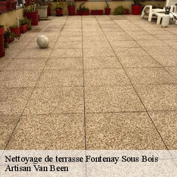 Nettoyage de terrasse fontenay-sous-bois-94120 Artisan Van Been