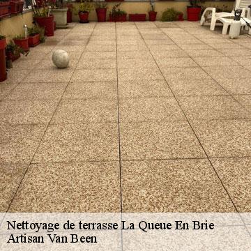 Nettoyage de terrasse la-queue-en-brie-94510 Artisan Van Been