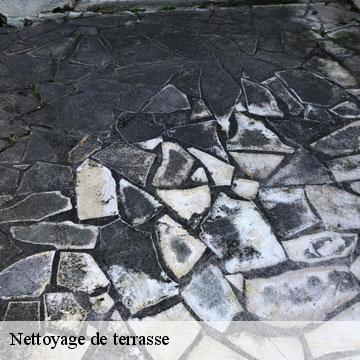 Nettoyage de terrasse  valenton-94460 Artisan Van Been