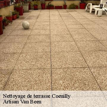 Nettoyage de terrasse  coeuilly-94500 Artisan Van Been
