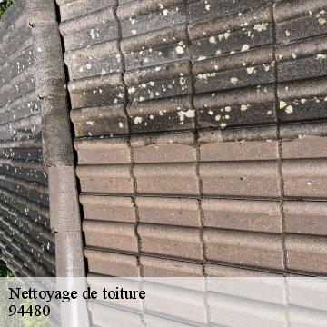 Nettoyage de toiture ablon-sur-seine-94480 Artisan Van Been