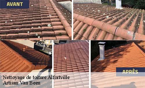 Nettoyage de toiture  alfortville-94140 Artisan Van Been