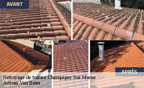 Nettoyage de toiture  champigny-sur-marne-94500 Artisan Van Been