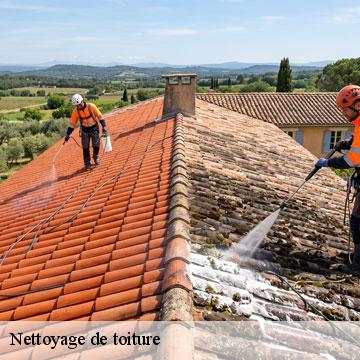 Nettoyage de toiture  chennevieres-sur-marne-94430 Artisan Van Been