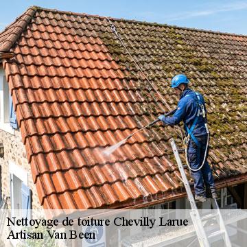Nettoyage de toiture chevilly-larue-94550 Artisan Van Been