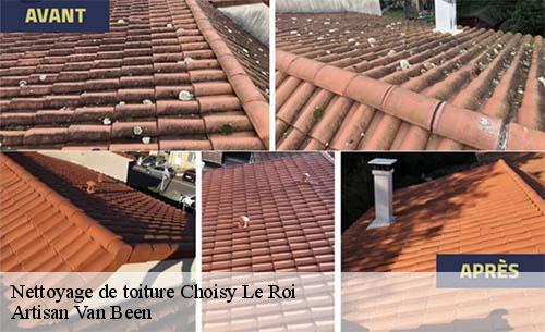 Nettoyage de toiture  choisy-le-roi-94600 Artisan Van Been