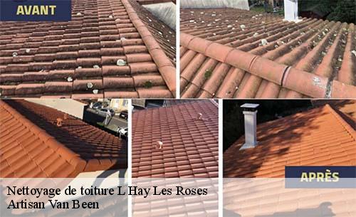Nettoyage de toiture  l-hay-les-roses-94240 Artisan Van Been