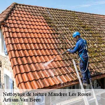 Nettoyage de toiture  mandres-les-roses-94520 Artisan Van Been