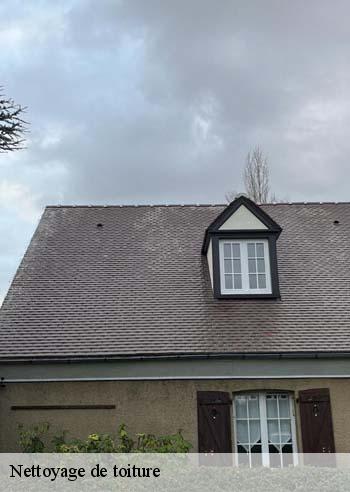 Nettoyage de toiture  ormesson-sur-marne-94490 Artisan Van Been