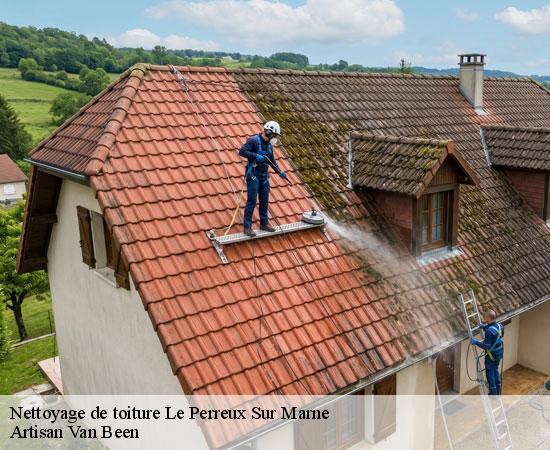 Nettoyage de toiture le-perreux-sur-marne-94170 Artisan Van Been