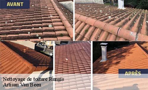 Nettoyage de toiture  rungis-94150 Artisan Van Been