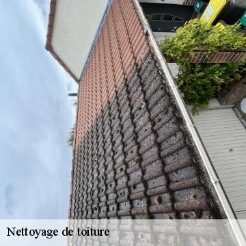 Nettoyage de toiture saint-maur-des-fosses-94100 Artisan Van Been