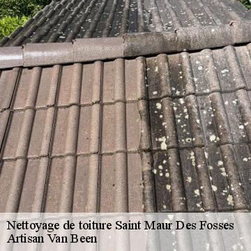Nettoyage de toiture saint-maur-des-fosses-94100 Artisan Van Been