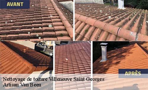 Nettoyage de toiture  villeneuve-saint-georges-94190 Artisan Van Been