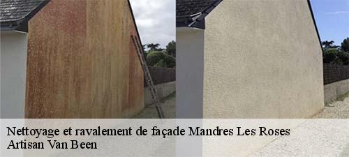 Nettoyage et ravalement de façade  mandres-les-roses-94520 Artisan Van Been