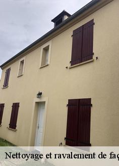 Nettoyage et ravalement de façade  saint-maur-des-fosses-94100 Artisan Van Been