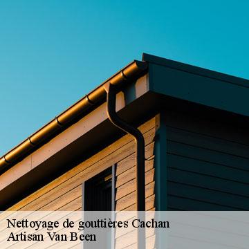 Nettoyage de gouttières cachan-94230 Artisan Van Been