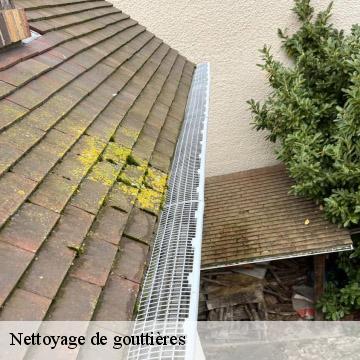 Nettoyage de gouttières chevilly-larue-94550 Artisan Van Been