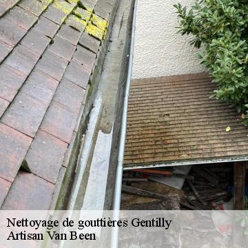 Nettoyage de gouttières gentilly-94250 Artisan Van Been