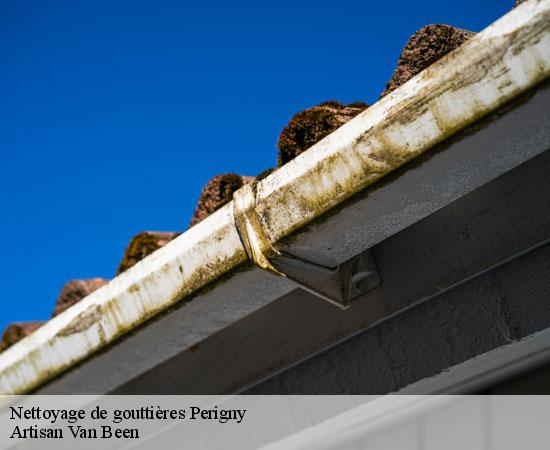 Nettoyage de gouttières perigny-94520 Artisan Van Been