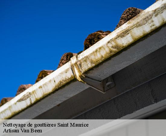 Nettoyage de gouttières saint-maurice-94410 Artisan Van Been