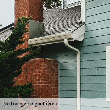 Nettoyage de gouttières saint-maurice-94410 Artisan Van Been