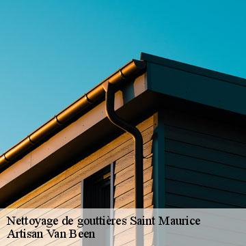 Nettoyage de gouttières saint-maurice-94410 Artisan Van Been