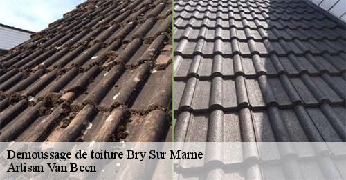 Demoussage de toiture  bry-sur-marne-94360 Artisan Van Been