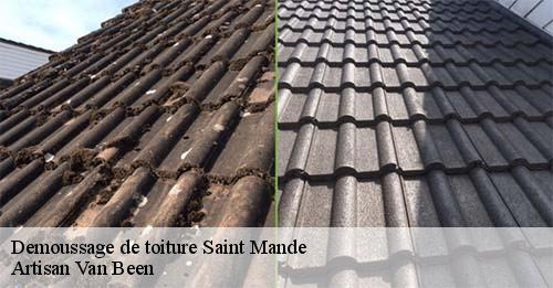 Demoussage de toiture  saint-mande-94160 Artisan Van Been