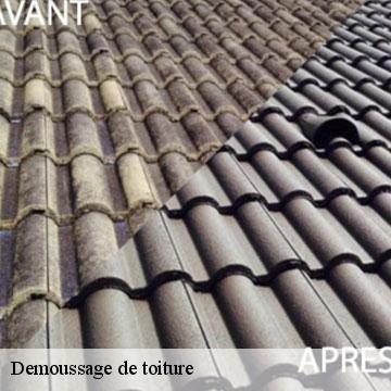 Demoussage de toiture saint-mande-94160 Artisan Van Been