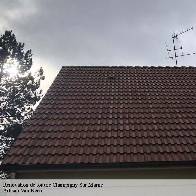 Rénovation de toiture  champigny-sur-marne-94500 Artisan Van Been