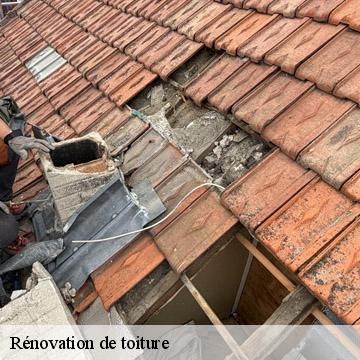 Rénovation de toiture  saint-maur-des-fosses-94100 Artisan Van Been