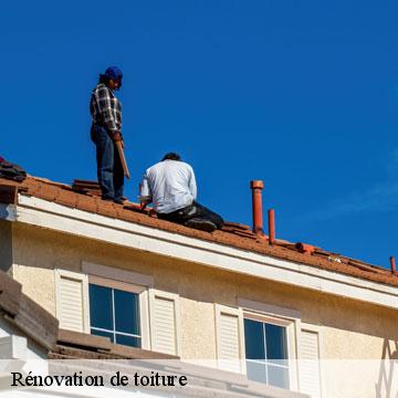 Rénovation de toiture villeneuve-le-roi-94290 Artisan Van Been