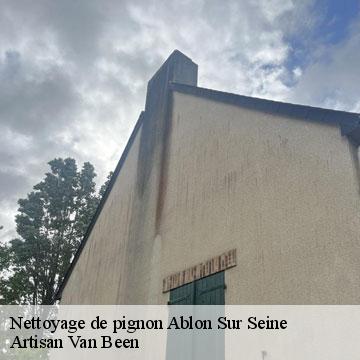 Nettoyage de pignon ablon-sur-seine-94480 Artisan Van Been