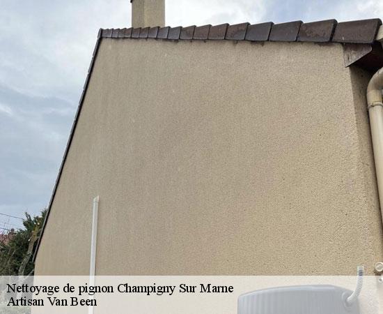 Nettoyage de pignon champigny-sur-marne-94500 Artisan Van Been