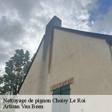 Nettoyage de pignon choisy-le-roi-94600 Artisan Van Been