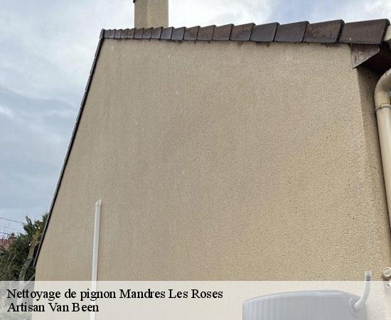 Nettoyage de pignon  mandres-les-roses-94520 Artisan Van Been