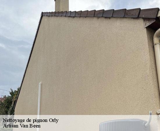 Nettoyage de pignon orly-94310 Artisan Van Been