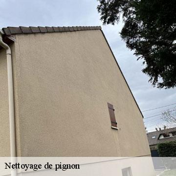 Nettoyage de pignon orly-94310 Artisan Van Been