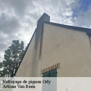Nettoyage de pignon orly-94310 Artisan Van Been