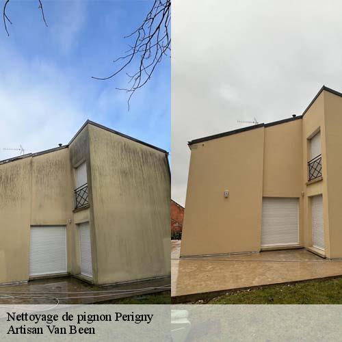 Nettoyage de pignon  perigny-94520 Artisan Van Been