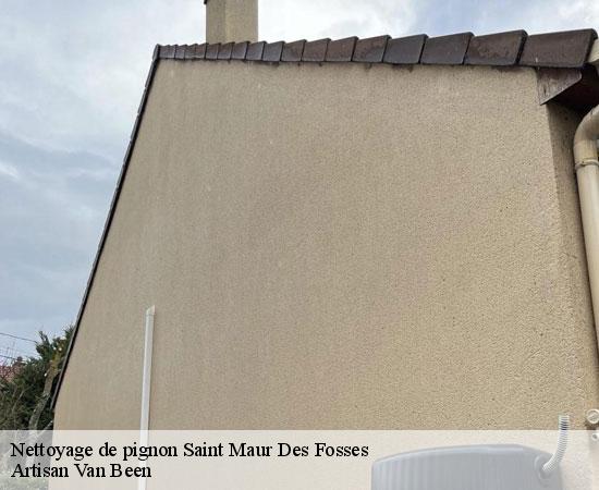 Nettoyage de pignon saint-maur-des-fosses-94100 Artisan Van Been