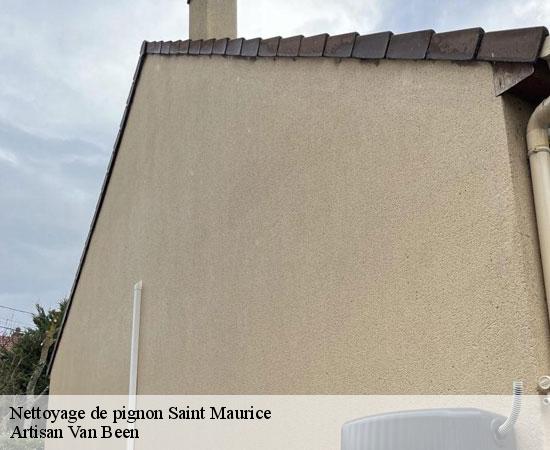 Nettoyage de pignon saint-maurice-94410 Artisan Van Been