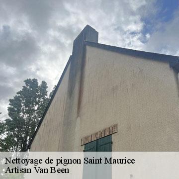 Nettoyage de pignon saint-maurice-94410 Artisan Van Been