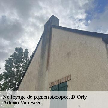 Nettoyage de pignon  aeroport-d-orly-94390 Artisan Van Been